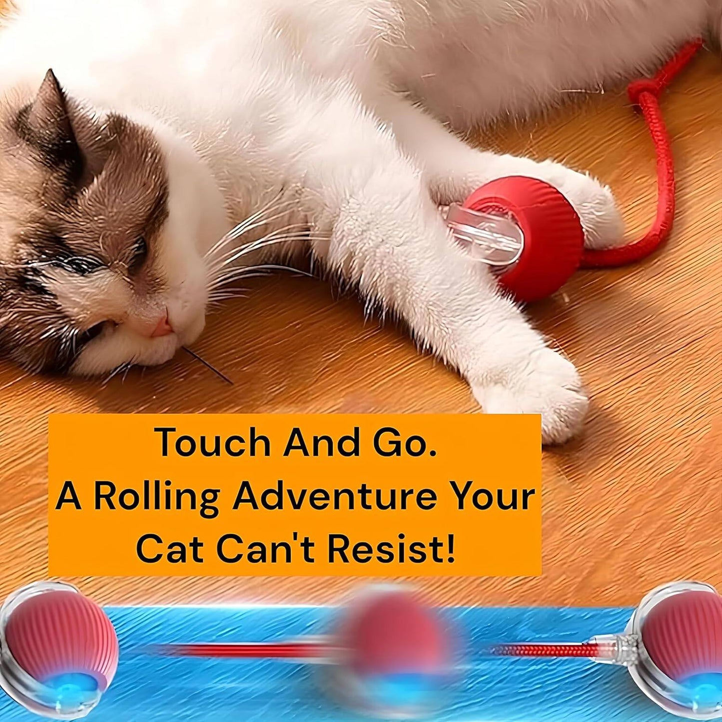 2025 Durable Interactive Cat Toys for Indoor Cats