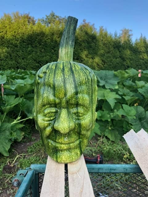 Small Pumpkin Mold kit for Growing Pumpkin and Watermelon on Halloween