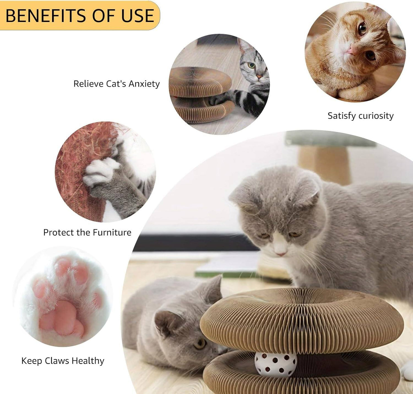 Magic Organ Cat Scratch Board