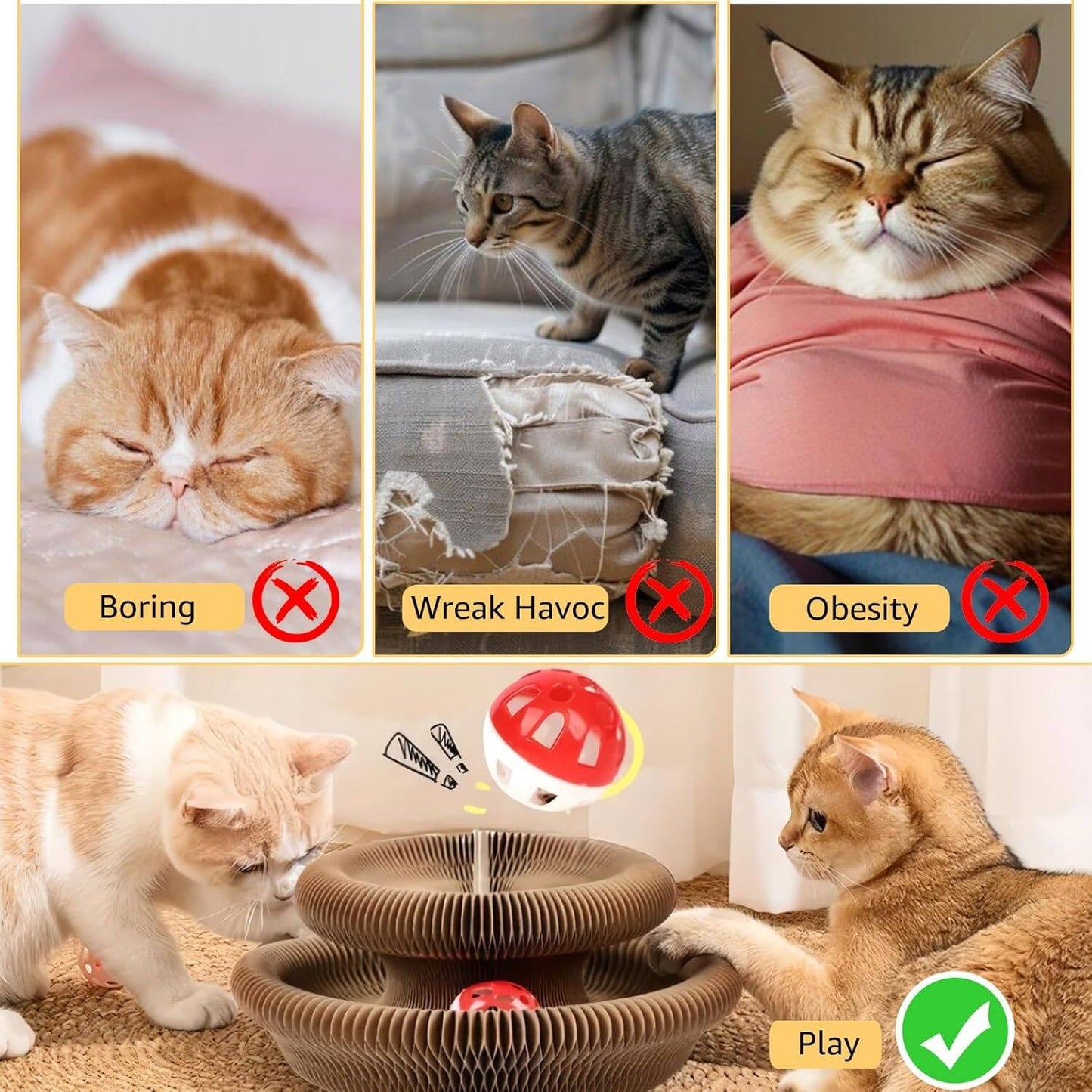 Magic Organ Cat Scratch Board