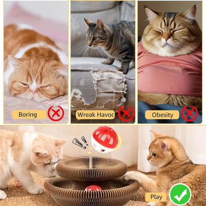 Magic Organ Cat Scratch Board