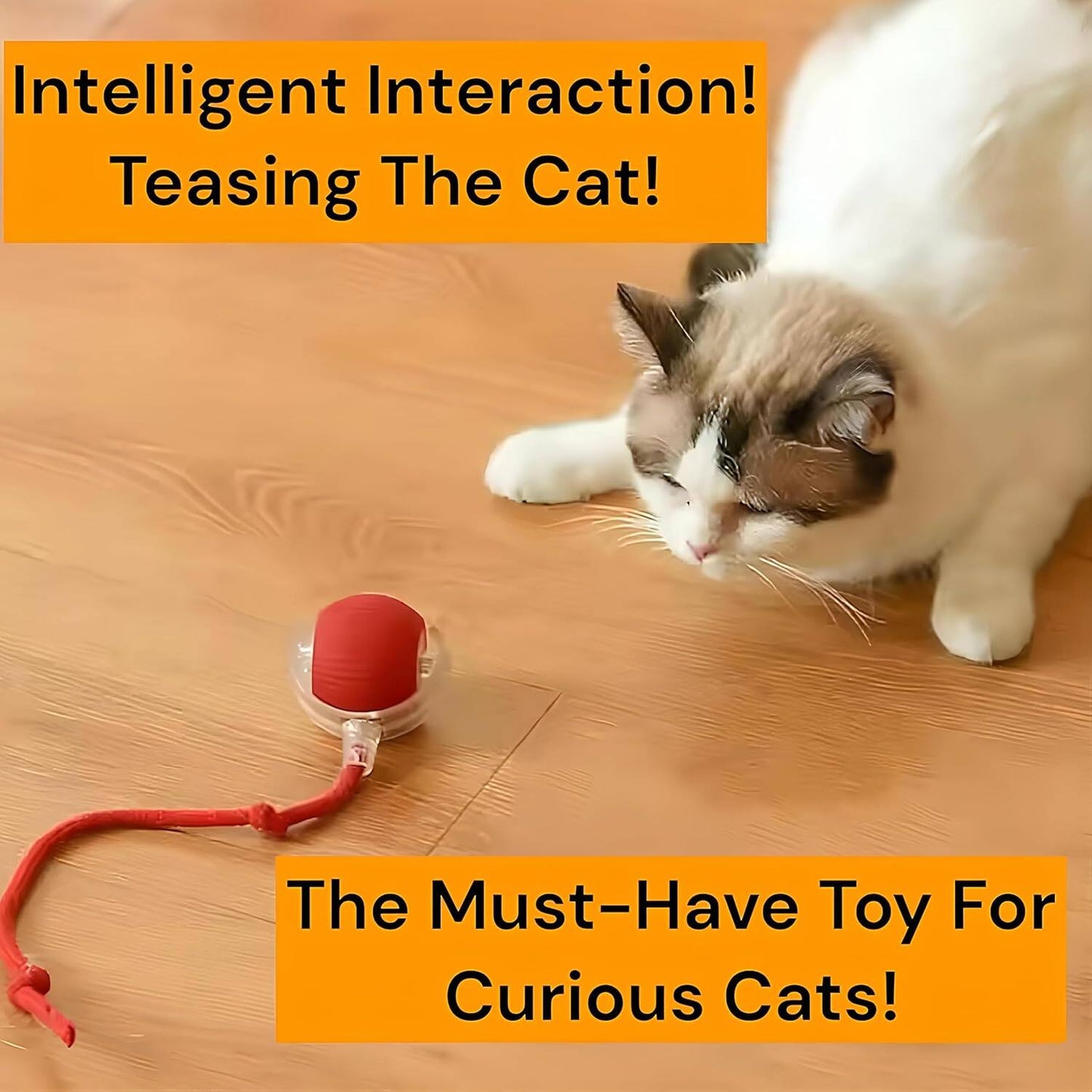 2025 Durable Interactive Cat Toys for Indoor Cats