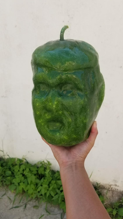 Small Pumpkin Mold kit for Growing Pumpkin and Watermelon on Halloween