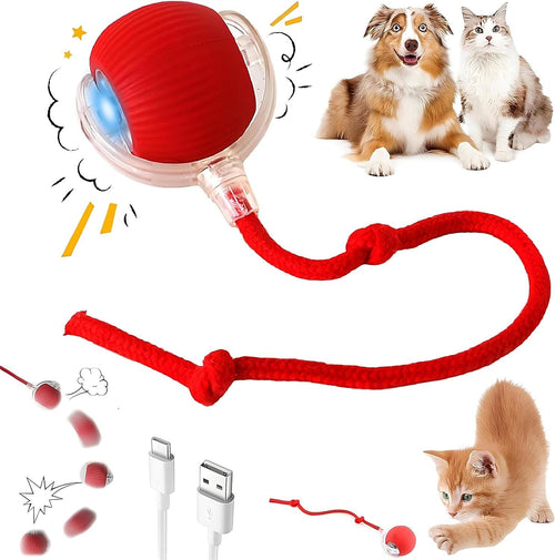 2025 Durable Interactive Cat Toys for Indoor Cats