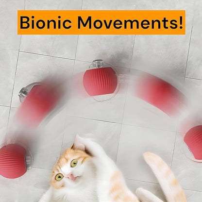 2025 Durable Interactive Cat Toys for Indoor Cats