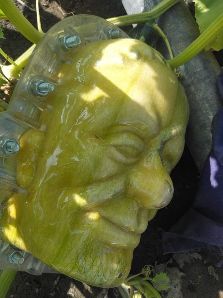 Small Pumpkin Mold kit for Growing Pumpkin and Watermelon on Halloween