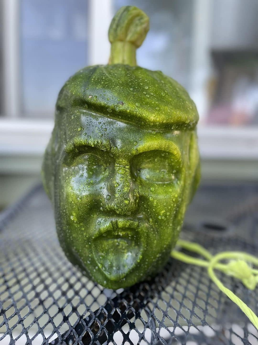 Small Pumpkin Mold kit for Growing Pumpkin and Watermelon on Halloween