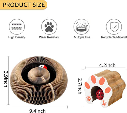 Magic Organ Cat Scratch Board