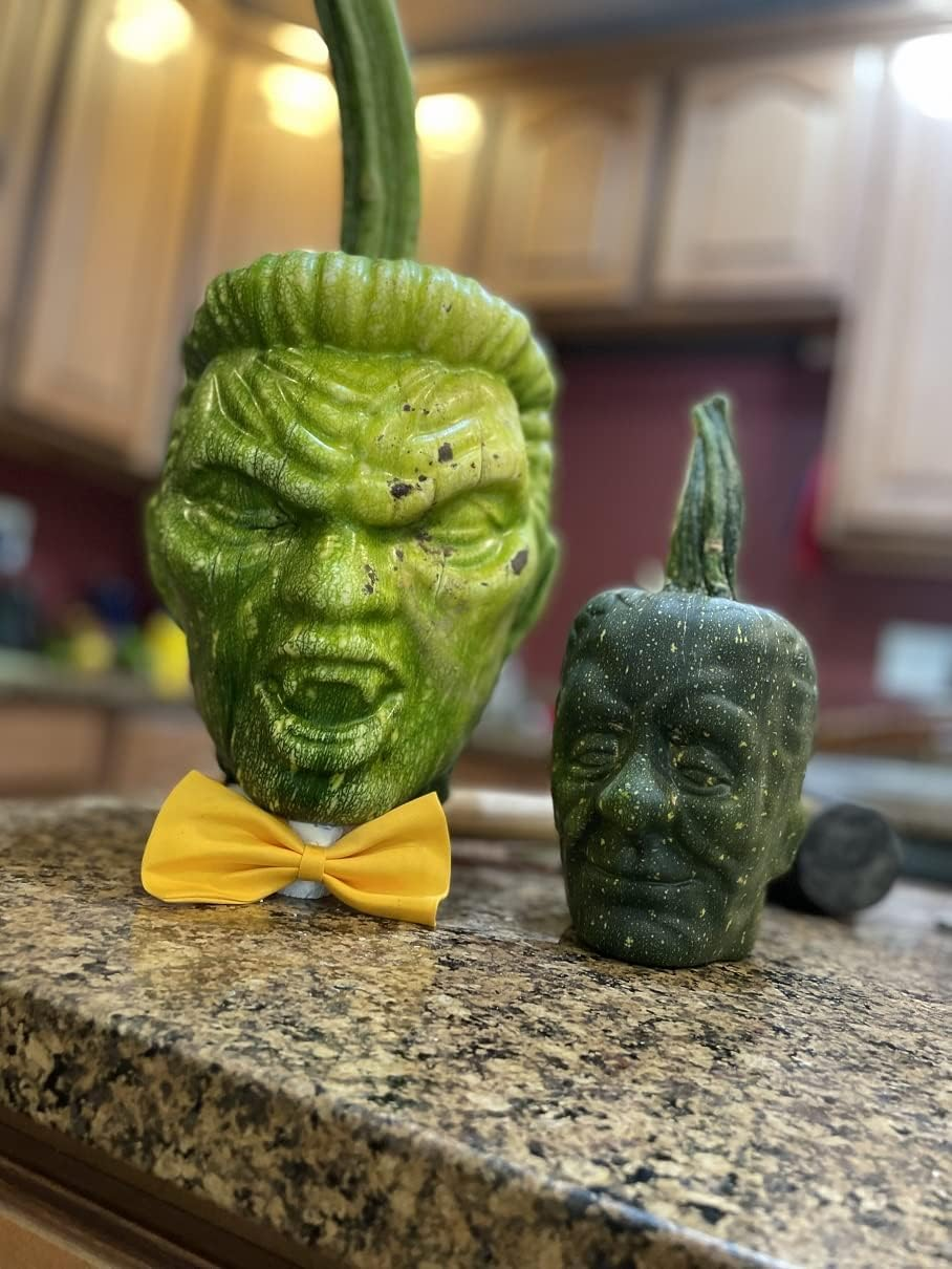 Small Pumpkin Mold kit for Growing Pumpkin and Watermelon on Halloween