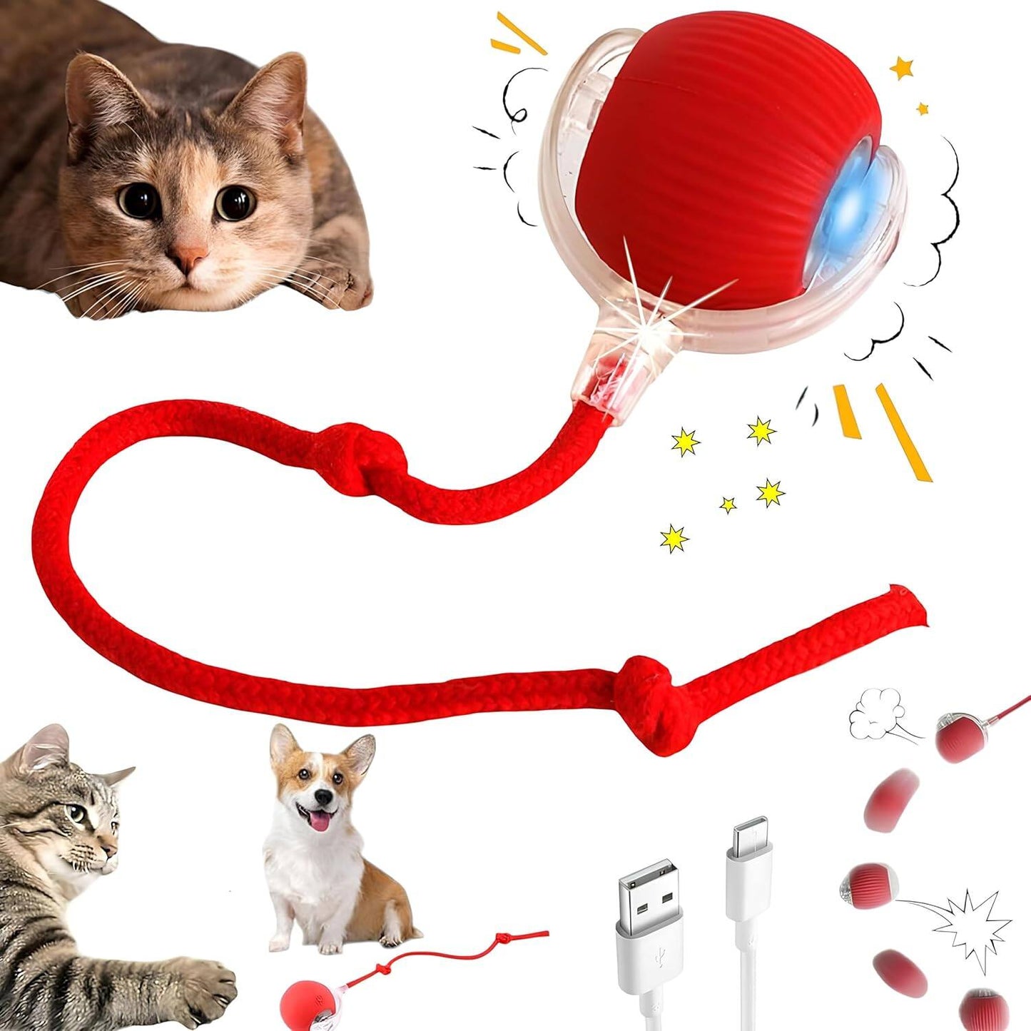 2025 Durable Interactive Cat Toys for Indoor Cats